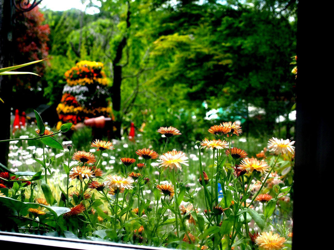Osaka Prefecture Flower Garden-河内长野市必去景点
