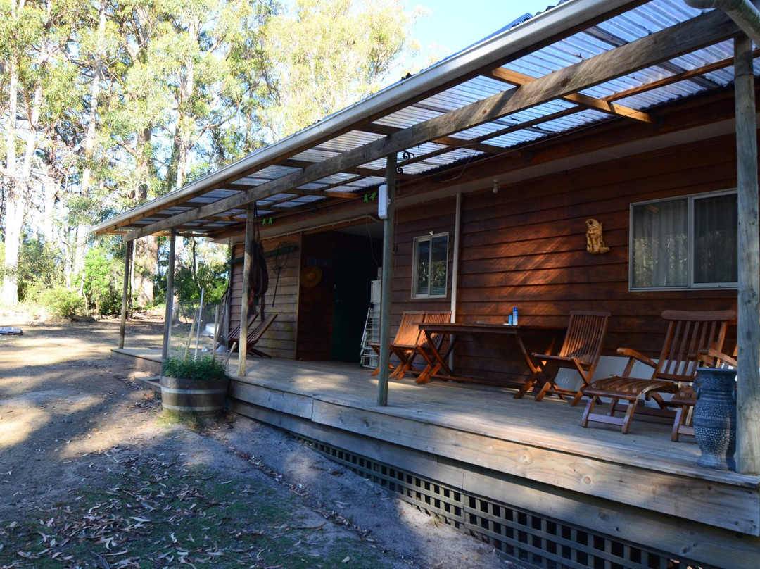 Bluegum Hostel