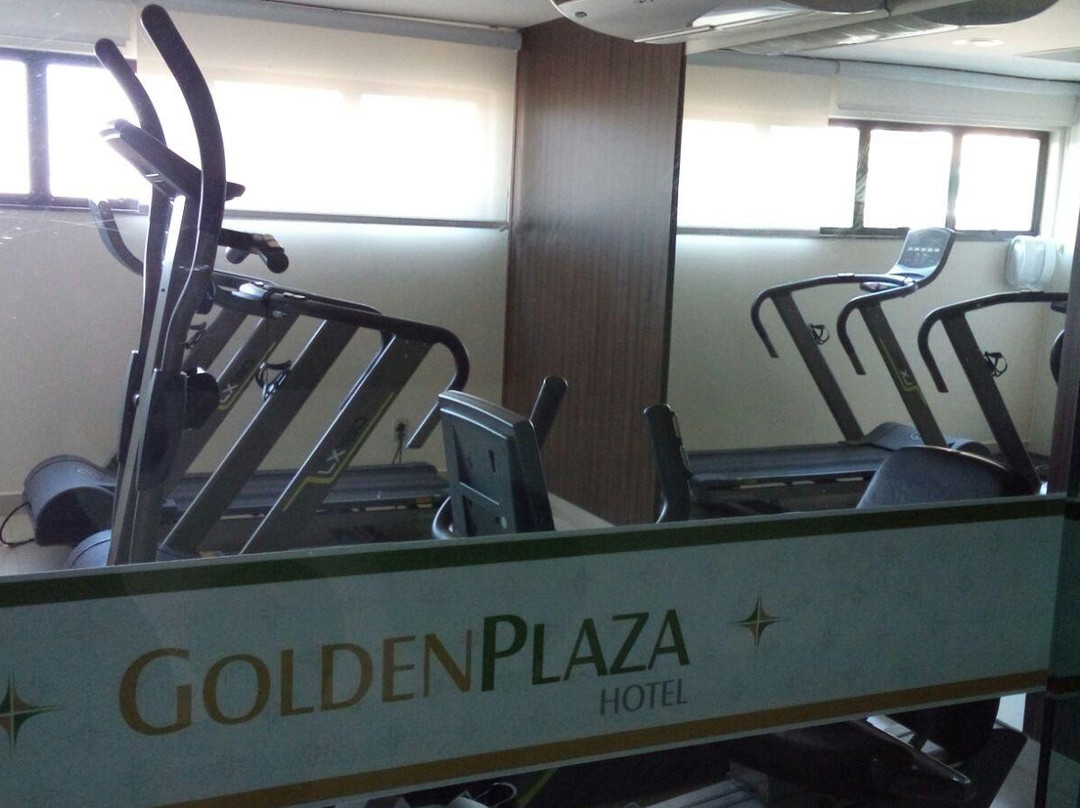 Golden Plaza Hotel主图