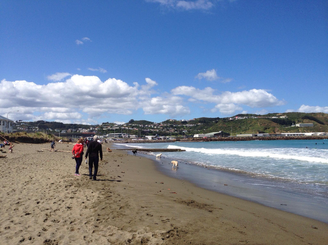 Lyall Bay景点图片