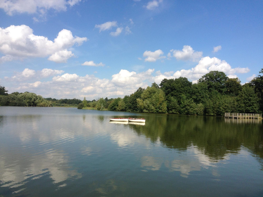 Hatfield Forest Nature Reserve景点图片