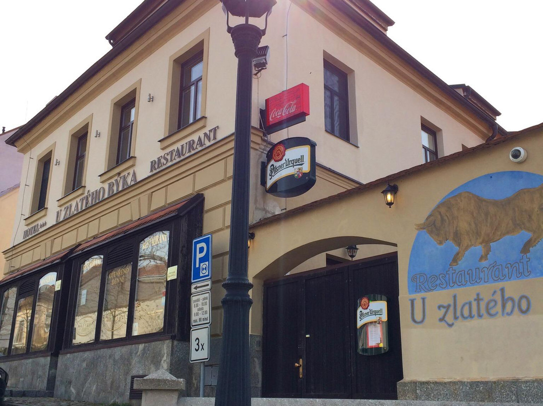 Hotel & Restaurant U Zlateho Byka主图