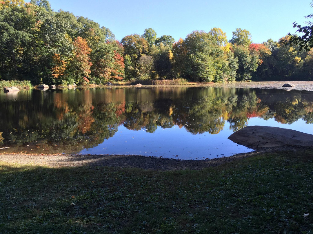 Connecticut College Arboretum-新伦敦必去景点