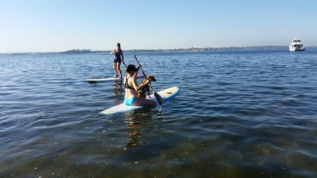 Stand Up Paddle Sports-珀斯必去景点