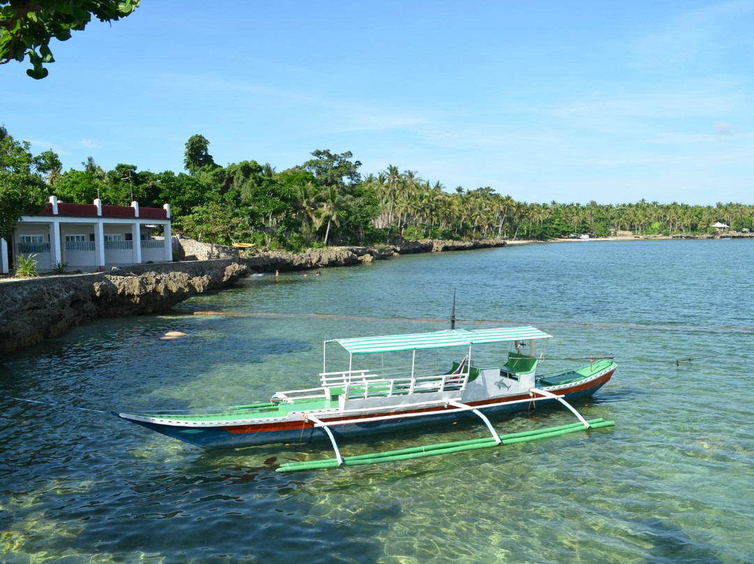 卡莫提斯飞鱼度假村主图