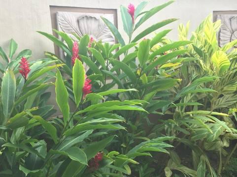 CHI, The Spa-拉普拉普必去景点