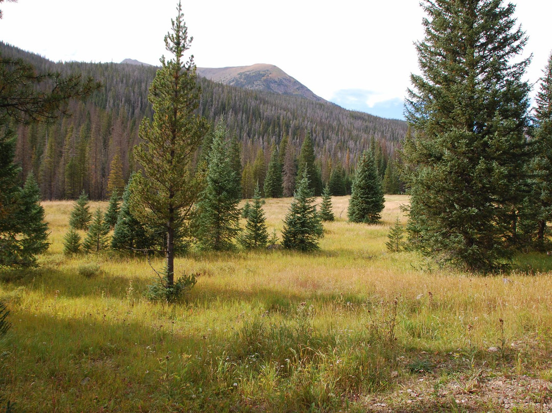 Lulu City Trail-落基山国家公园必去景点
