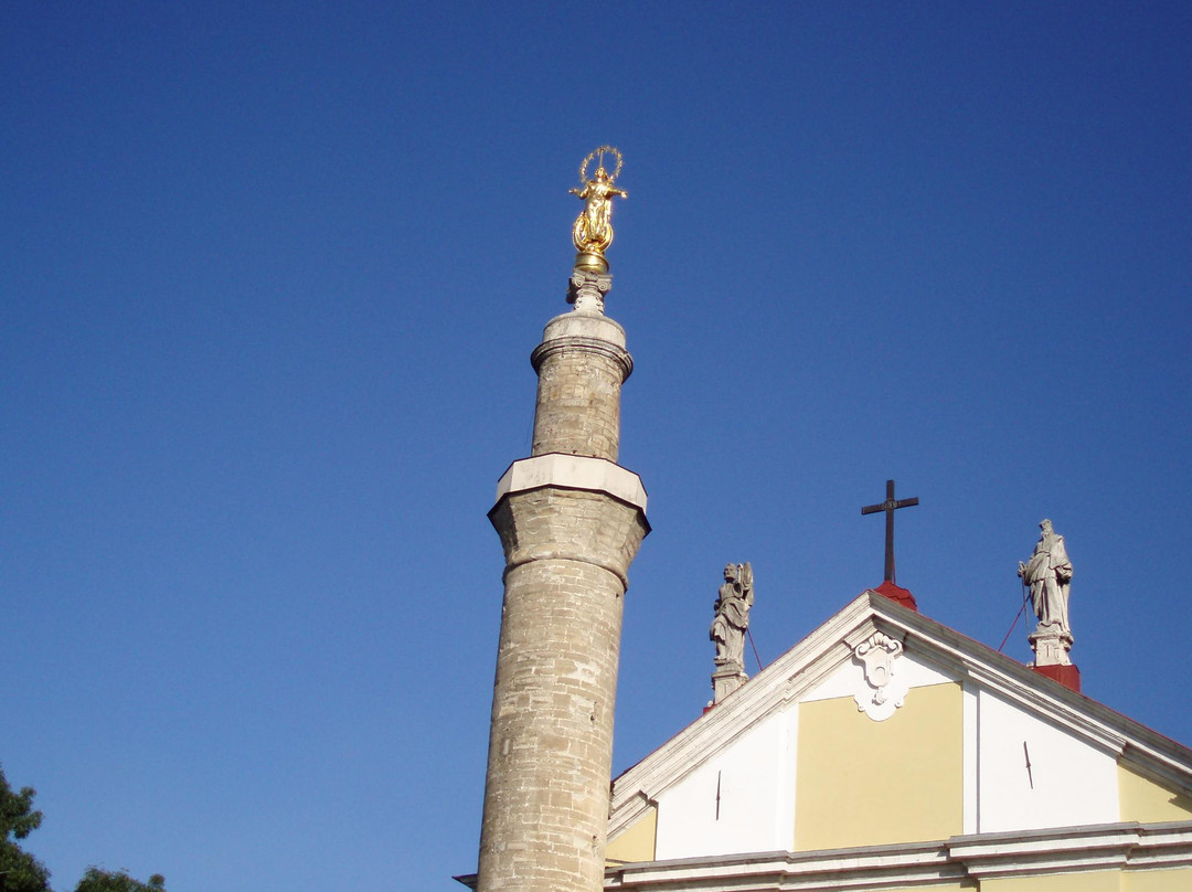 Turkish Minaret景点图片