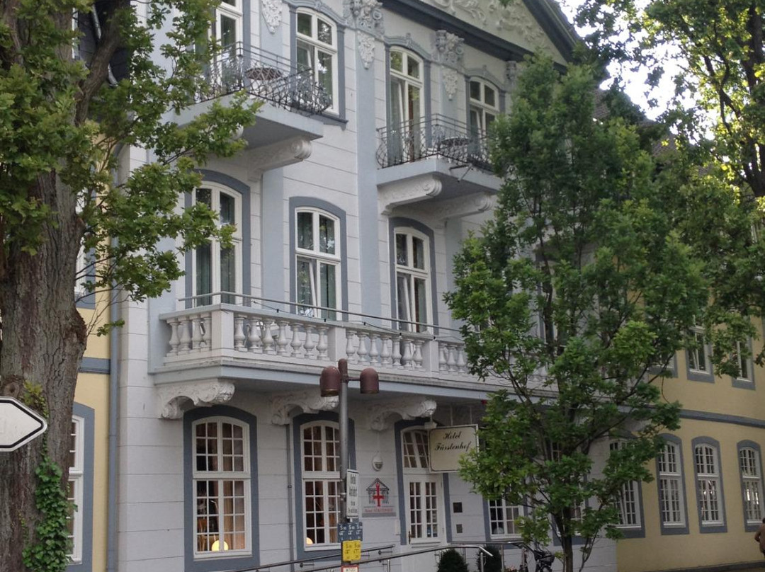 Hotel Füerstenhof主图