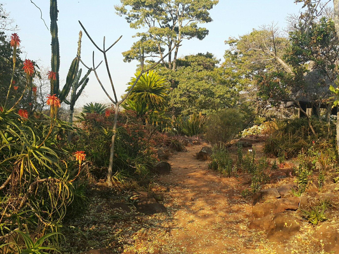 Ewanrigg Botanical Gardens景点图片
