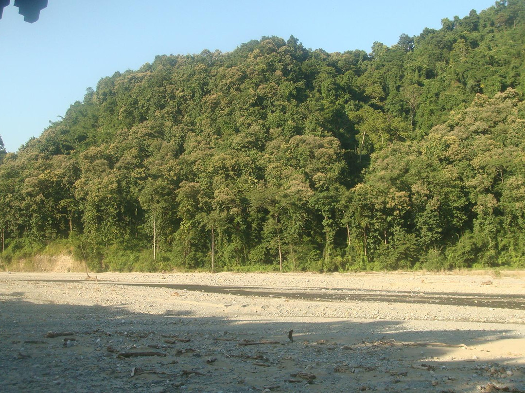 Mahananda Wildlife Sanctuary-大吉岭必去景点