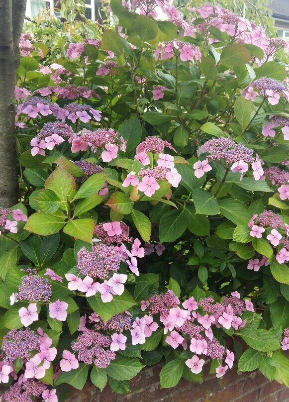 University of Agriculture-Faisalabad必去景点