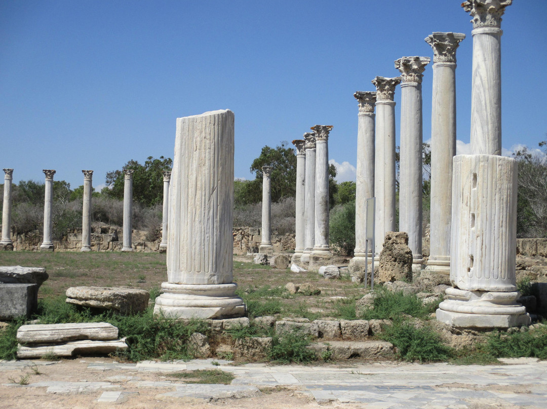 Guidedtours Cyprus - Tours景点图片