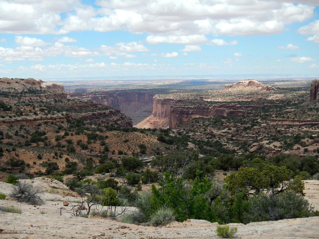 Neck Spring Trail-峡谷地国家公园必去景点