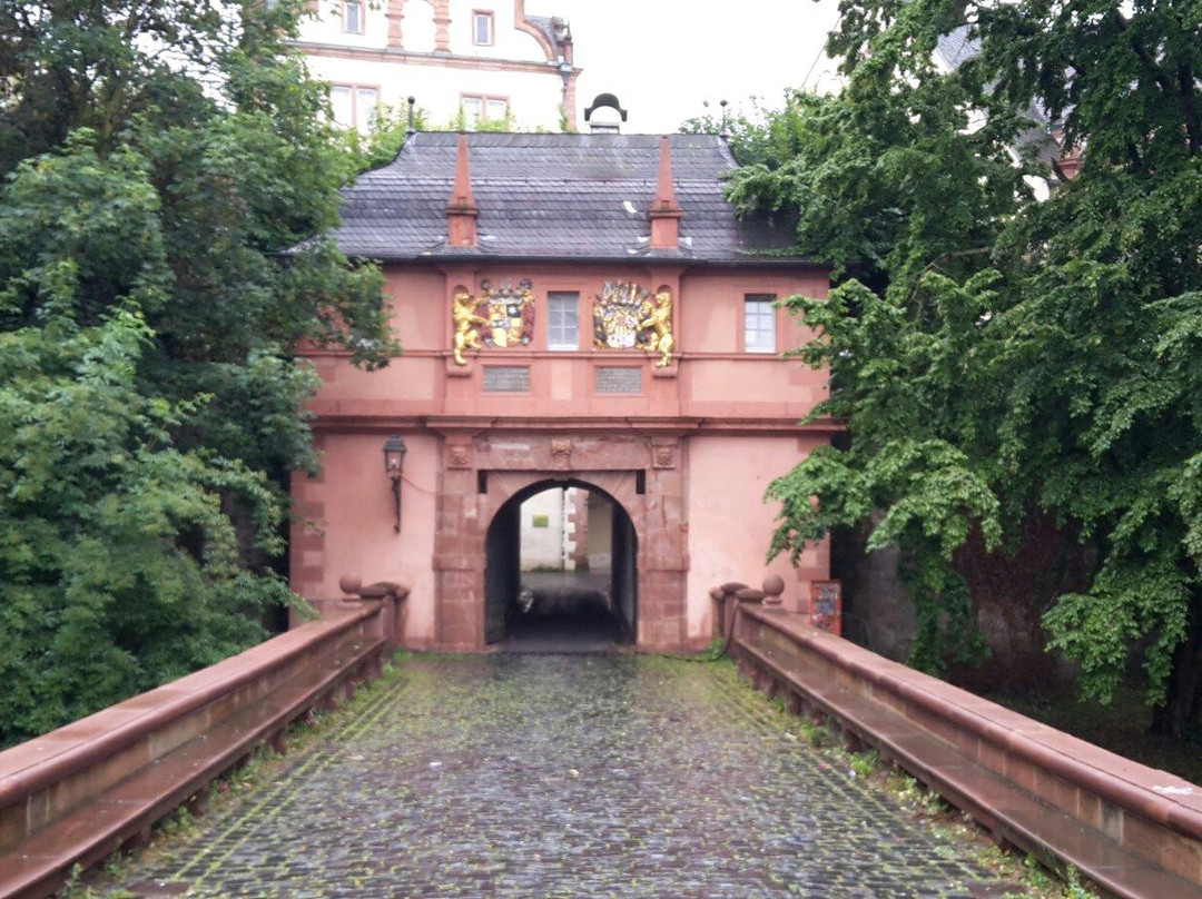 Schlossmuseum Darmstadt景点图片