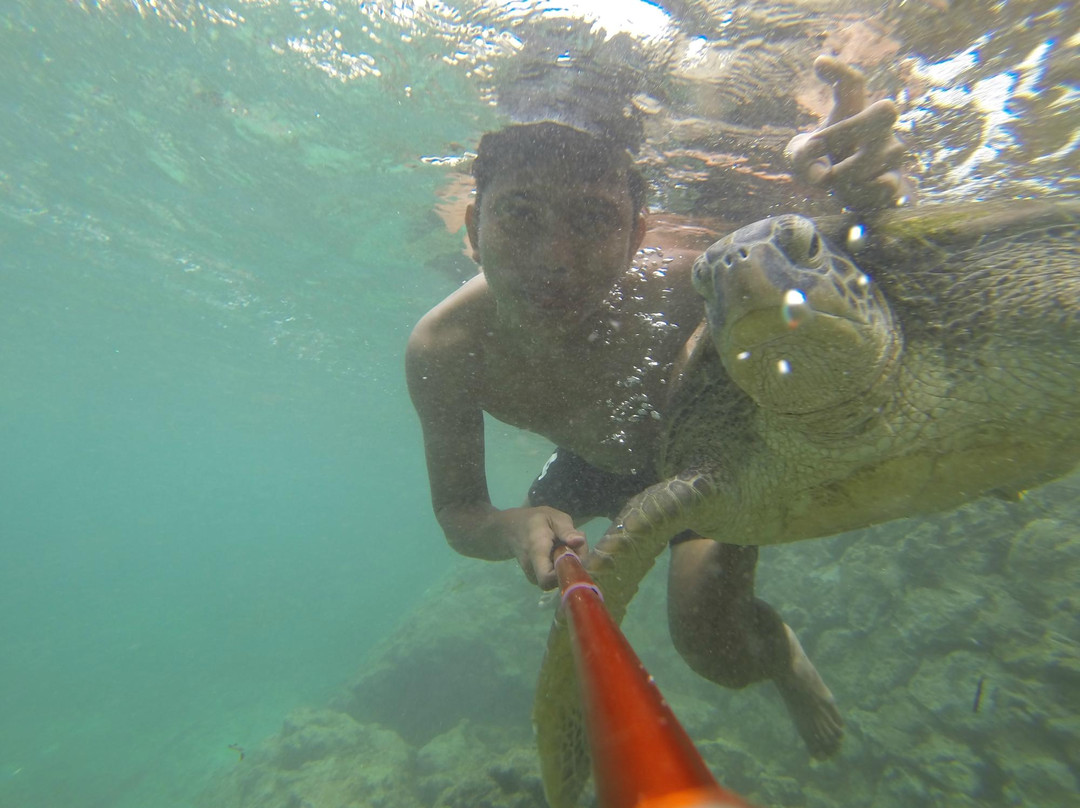 Liukang Loe Island-比拉必去景点