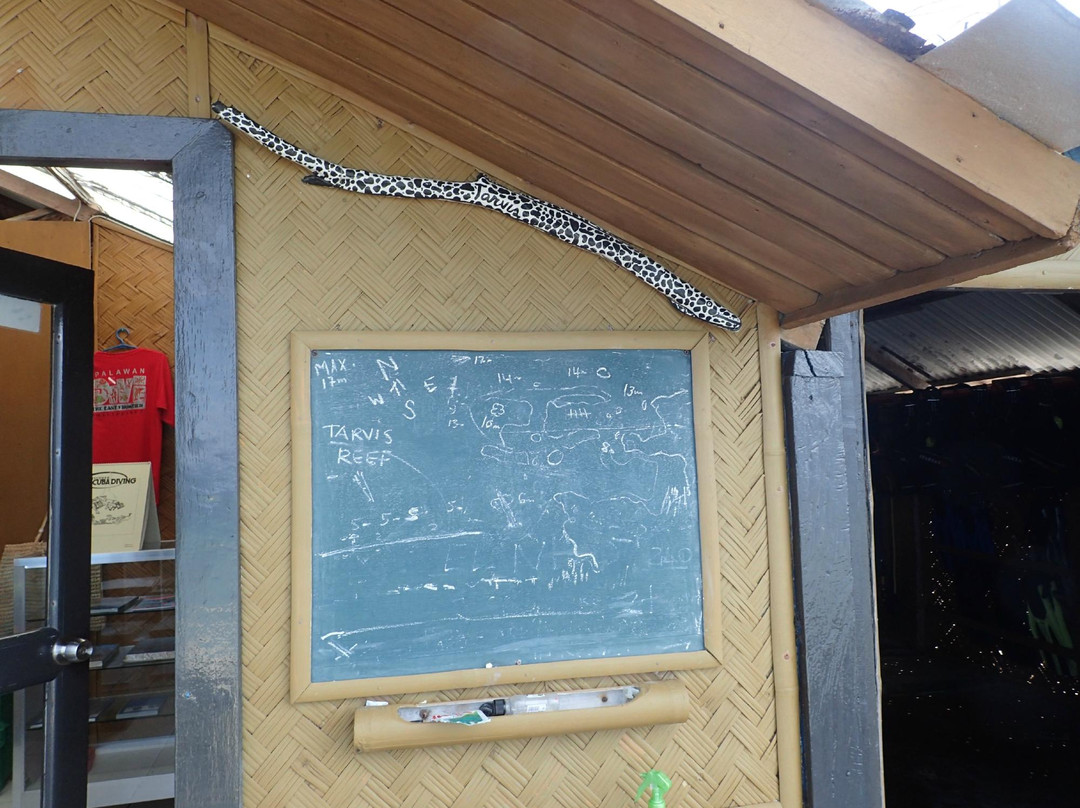 Tarvis Dive Center-罗哈斯必去景点