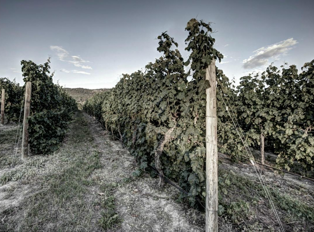 Lock & Worth Winery-彭蒂克顿必去景点