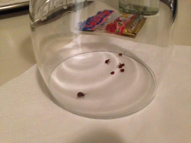 Zur Goldenen Krone Hotel主图