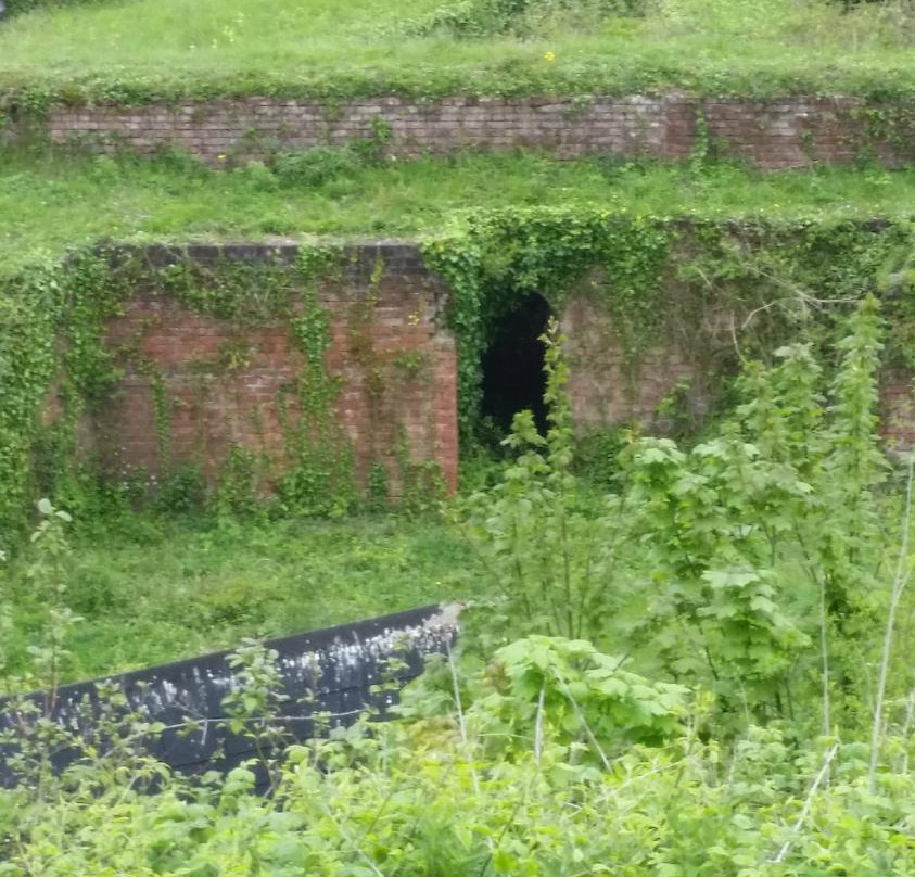 Fort Widley Equestrian Centre-普兹茅斯必去景点