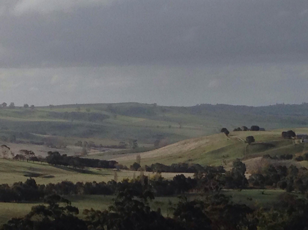 Cloud 9 Farm-Pipers Creek必去景点