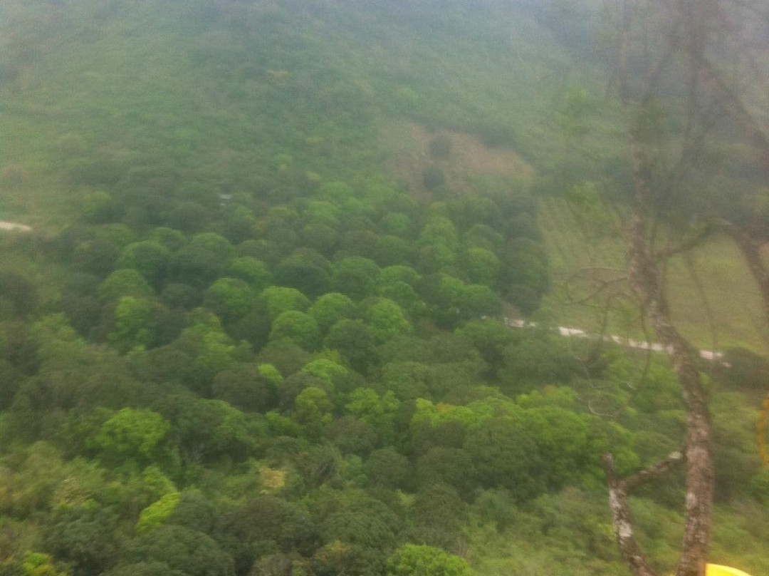Río Aventura Expediciones景点图片
