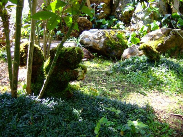 Tomokomai City Sun Garden景点图片