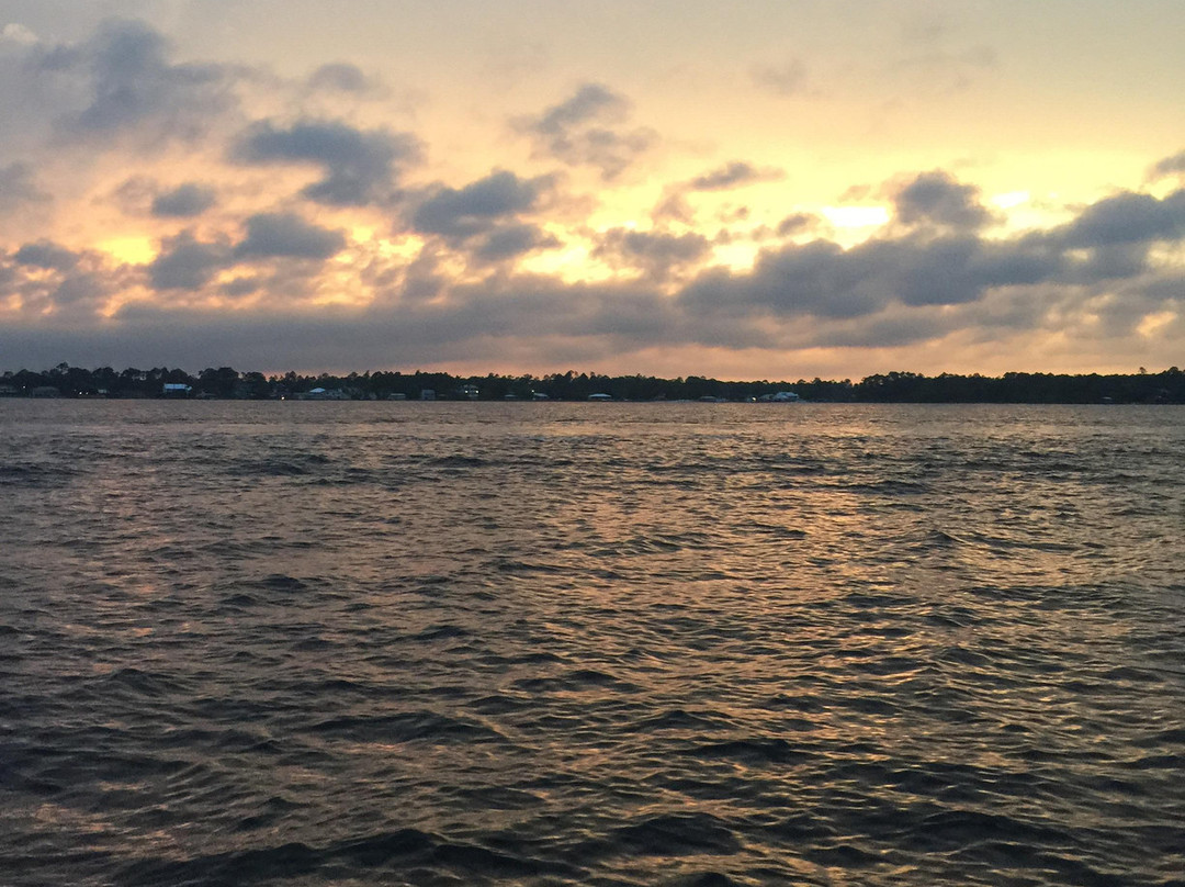 Dolphin Tales-橙色海湾必去景点