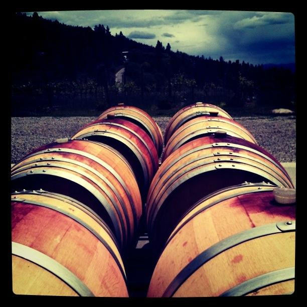 Nichol Winery and Vineyard景点图片