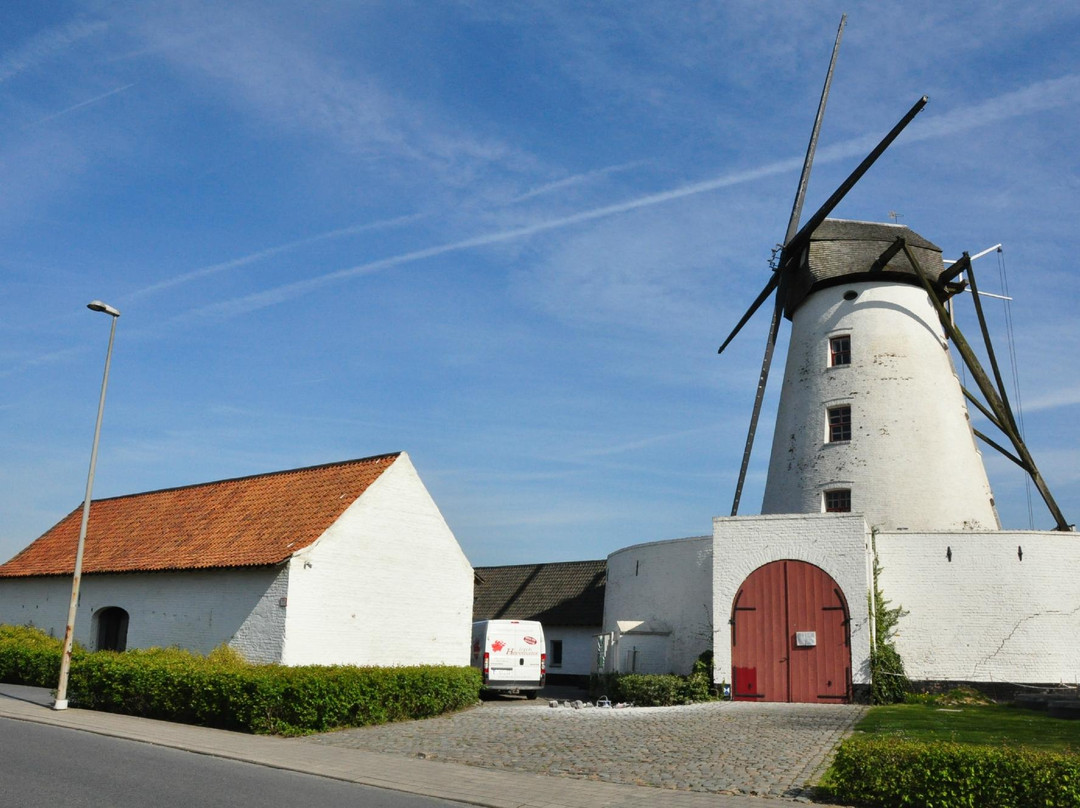 Vanneste Windmill景点图片