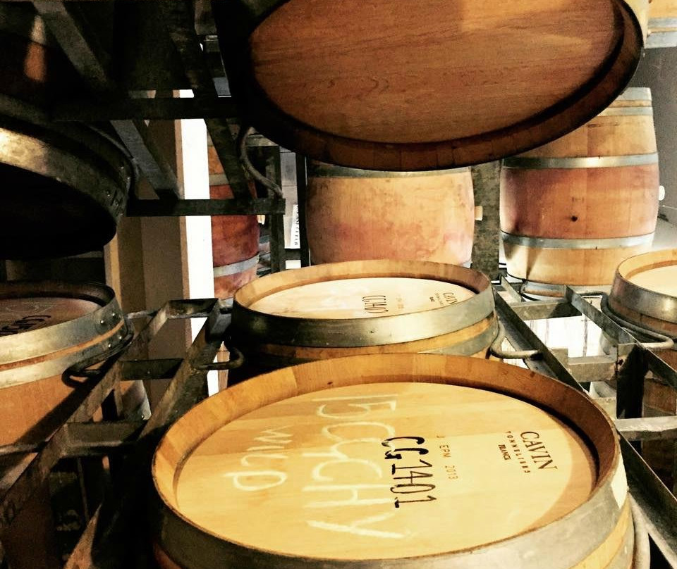 Cape Grace Wines-Cowaramup必去景点