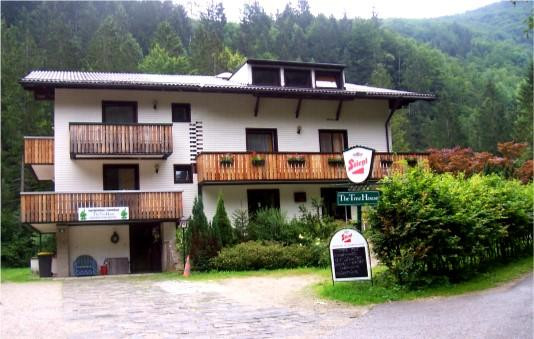 The Treehouse Backpacker Hotel