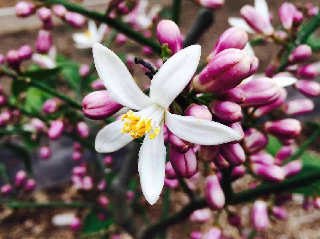 Gateway Science Museum-奇科必去景点