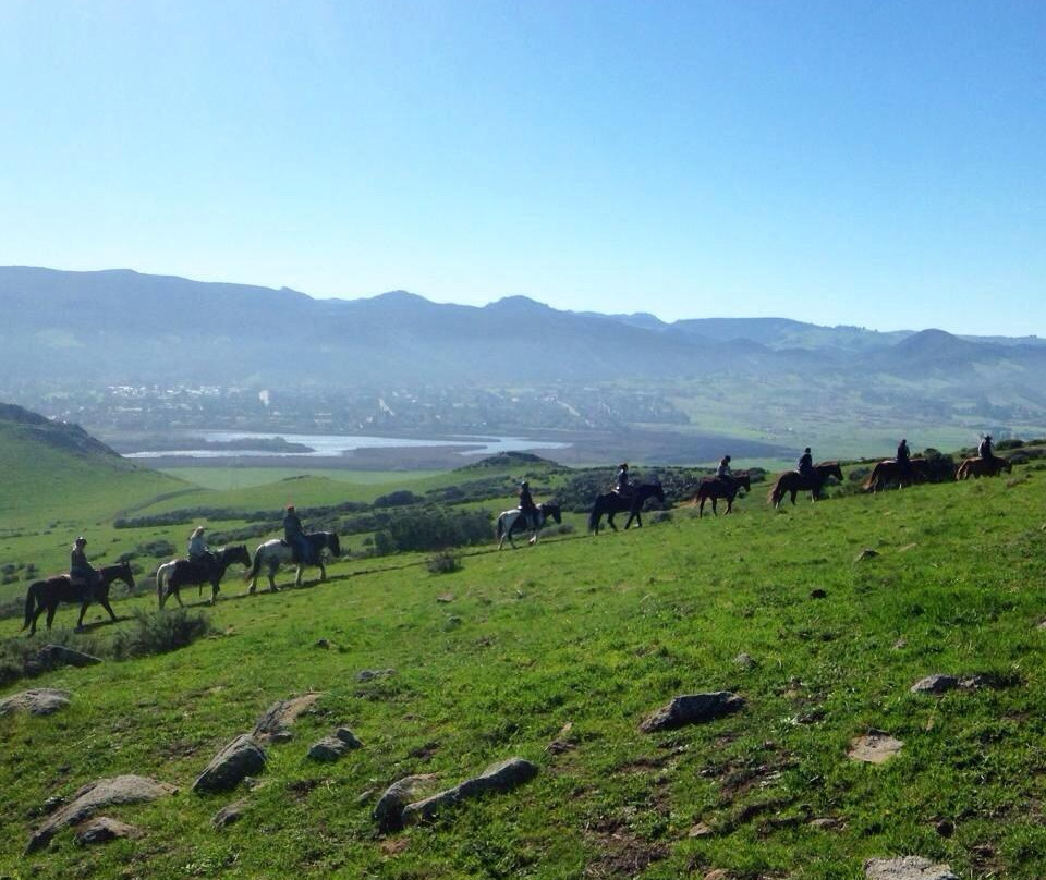 Madonna Inn Trail Rides景点图片