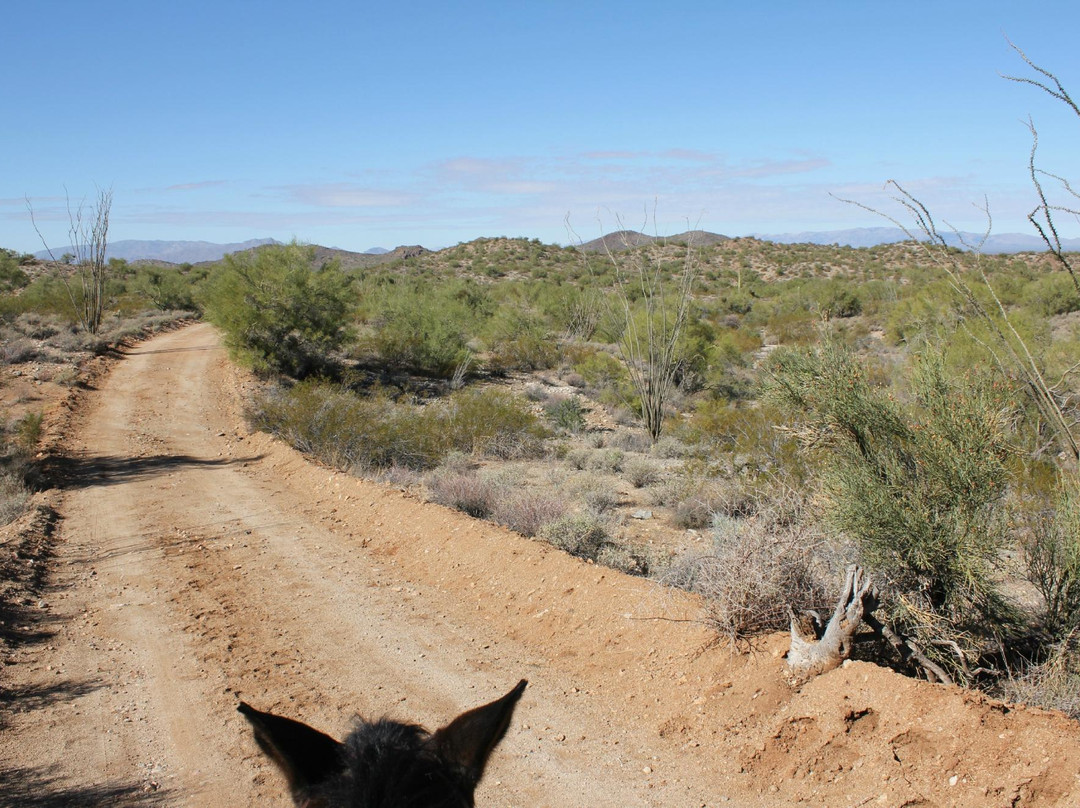 Effus Ranch-Wickenburg必去景点
