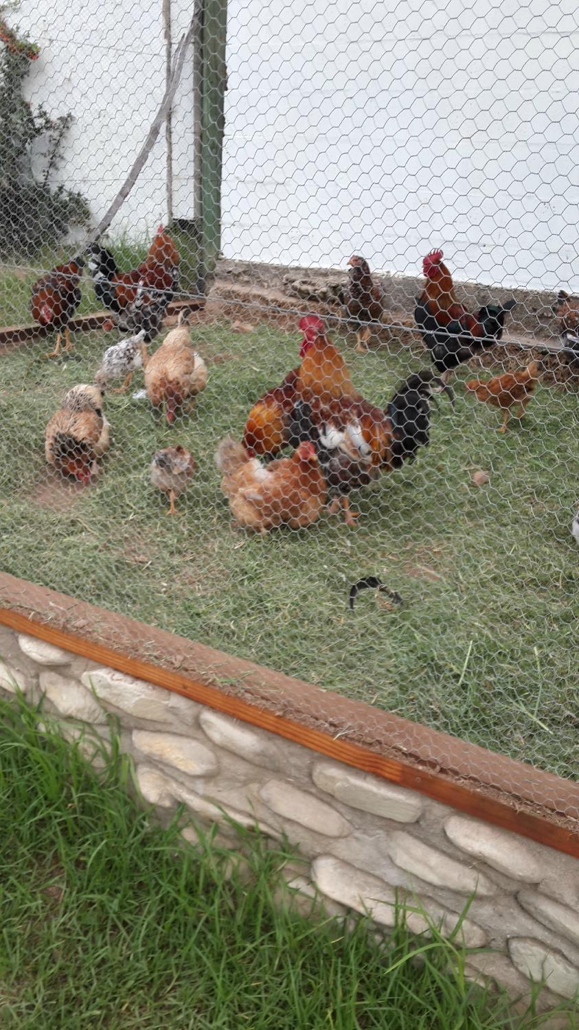 Ragels Rivier Guest Farm-客卧