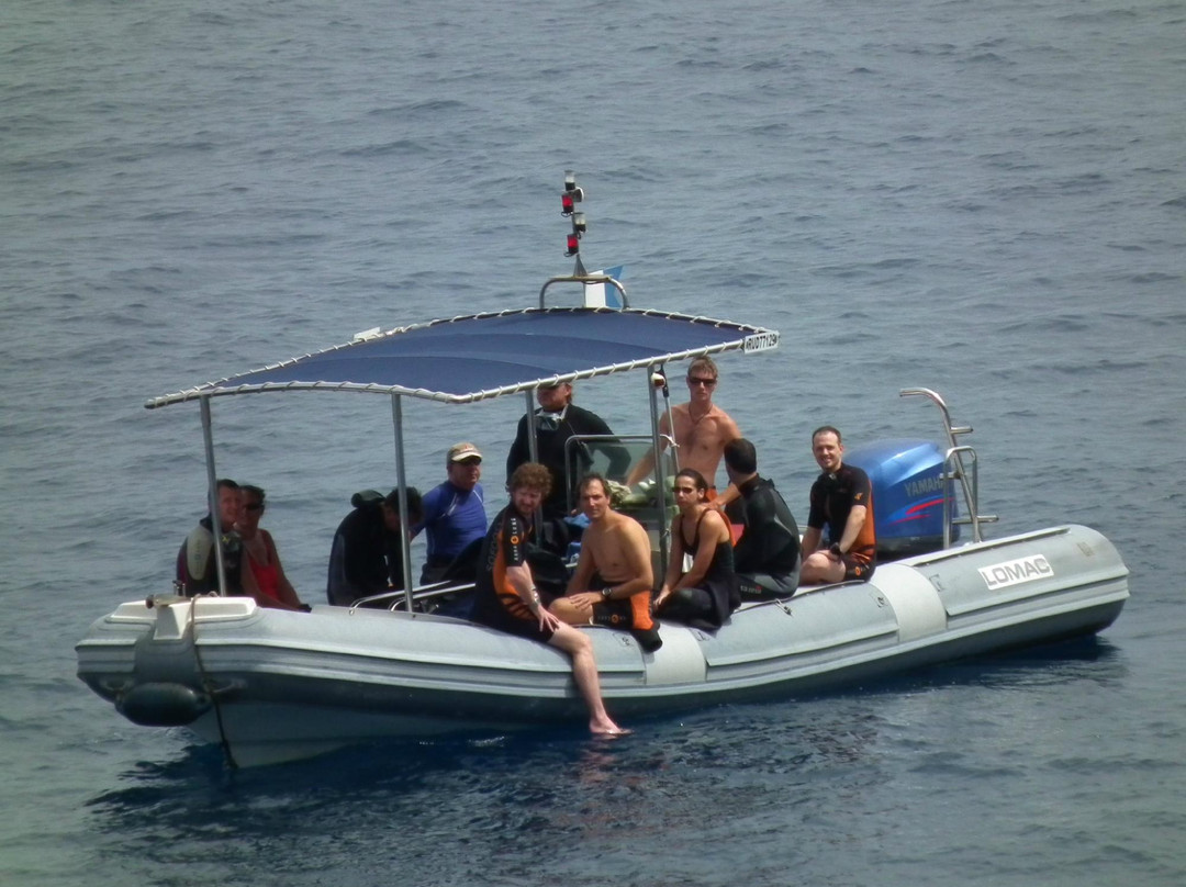 Scubananas Reunion Plongee-圣亮必去景点