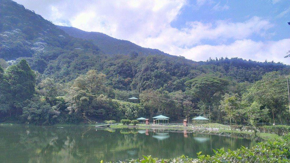Laguna de los cedros景点图片