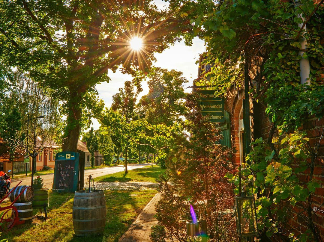 Kremmen餐馆和美食-Alte Weinschmiede Sommerfeld
