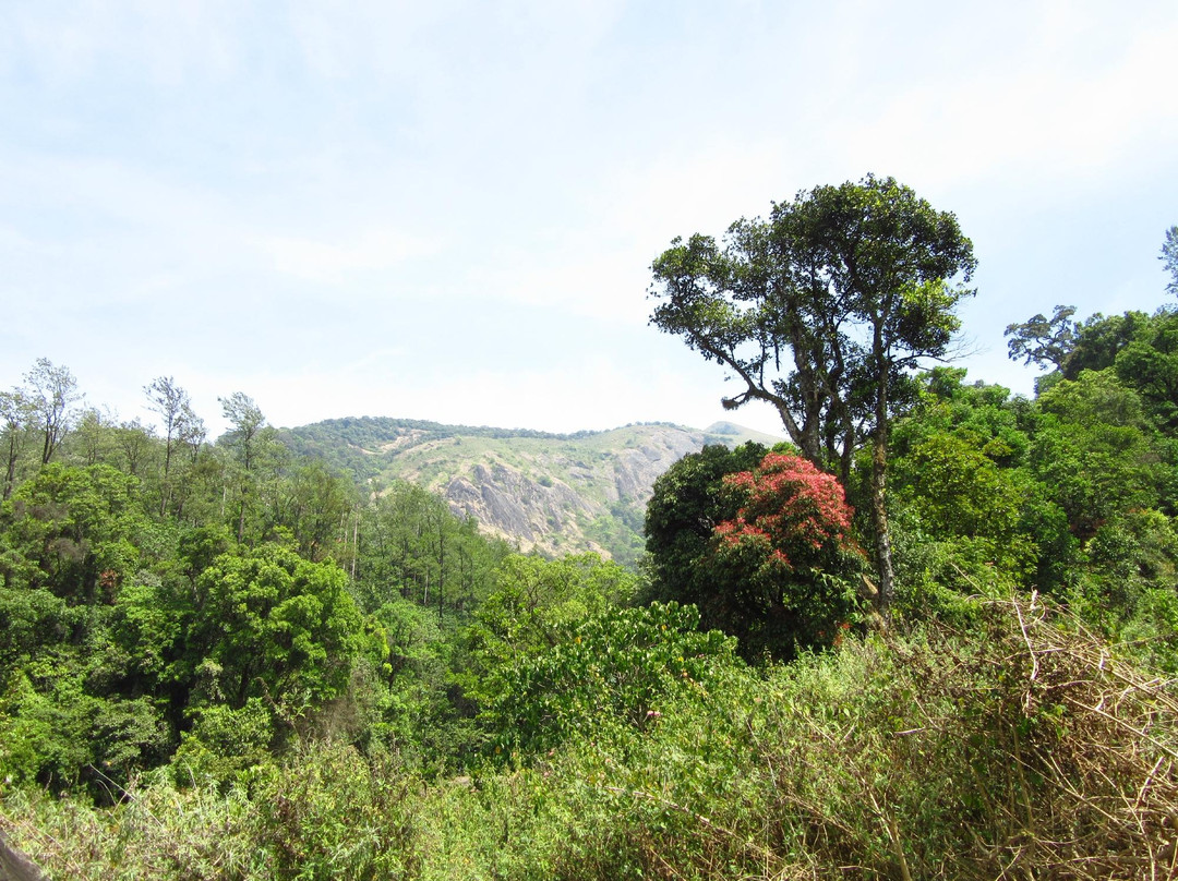 Chinna Kallar Falls景点图片