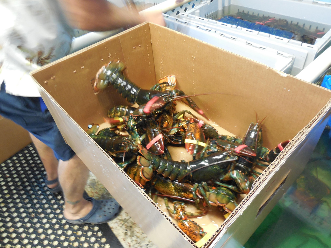 Twin Lobsters-恩格尔伍德必去景点