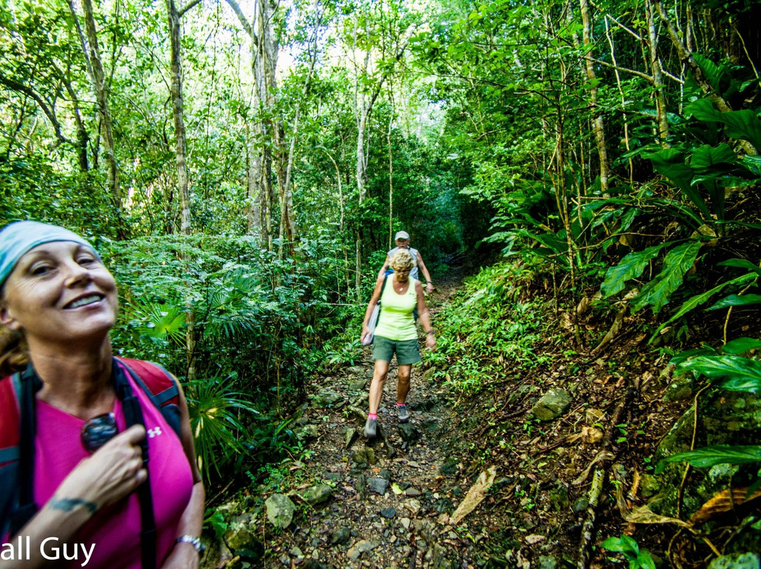 Bordeaux Mountain Trail-维尔京群岛国家公园必去景点
