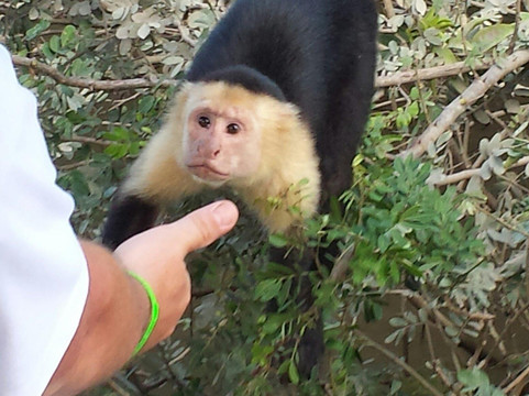 Rigo Suave CR Tours-Playa Flamingo必去景点