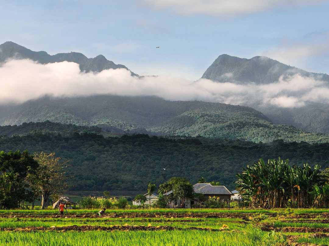 Wae Rebo Village景点图片