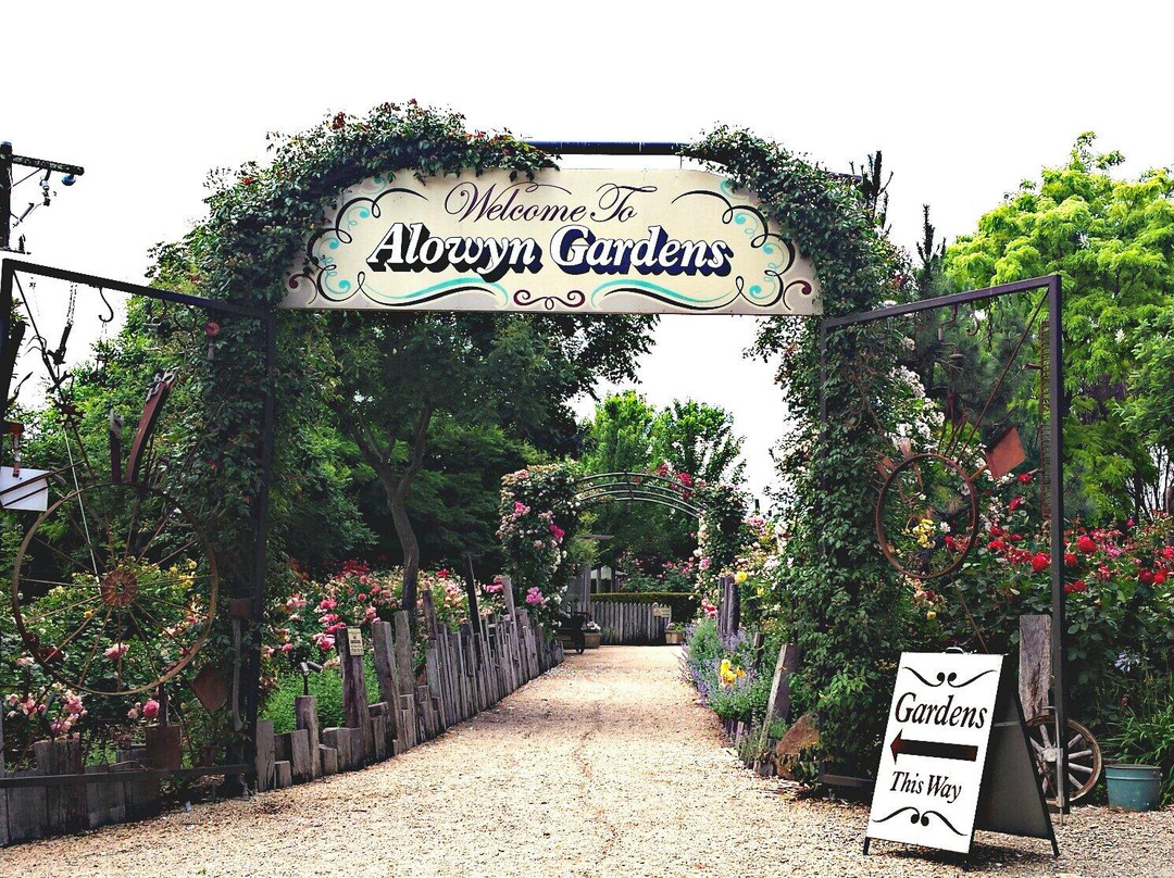 Alowyn Gardens-亚拉格林必去景点