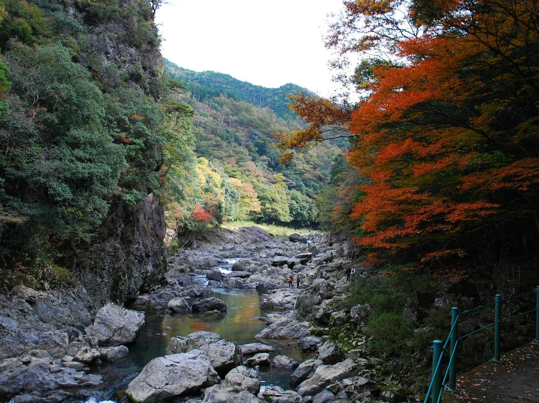 山口市旅游攻略图片