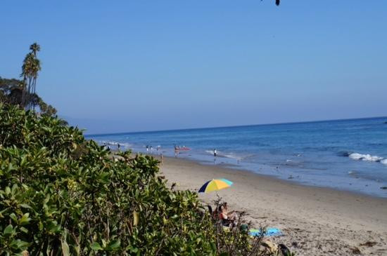 Butterfly Beach-蒙特西托必去景点