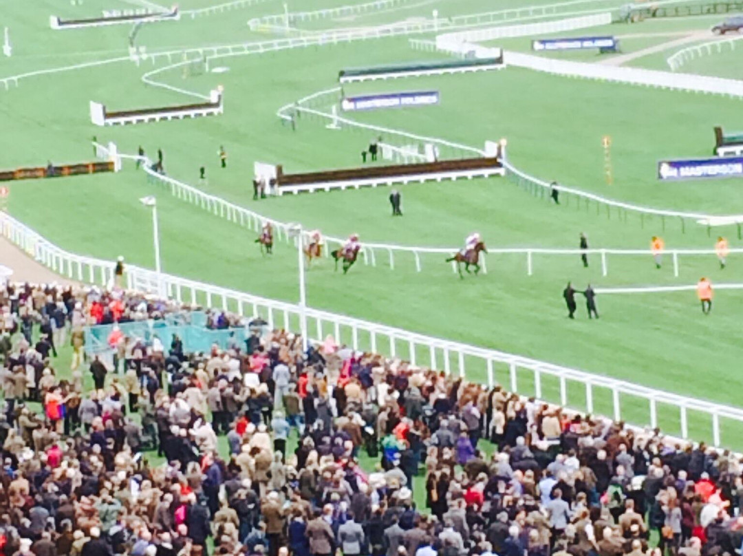 Cheltenham Racecourse-切尔滕纳姆必去景点