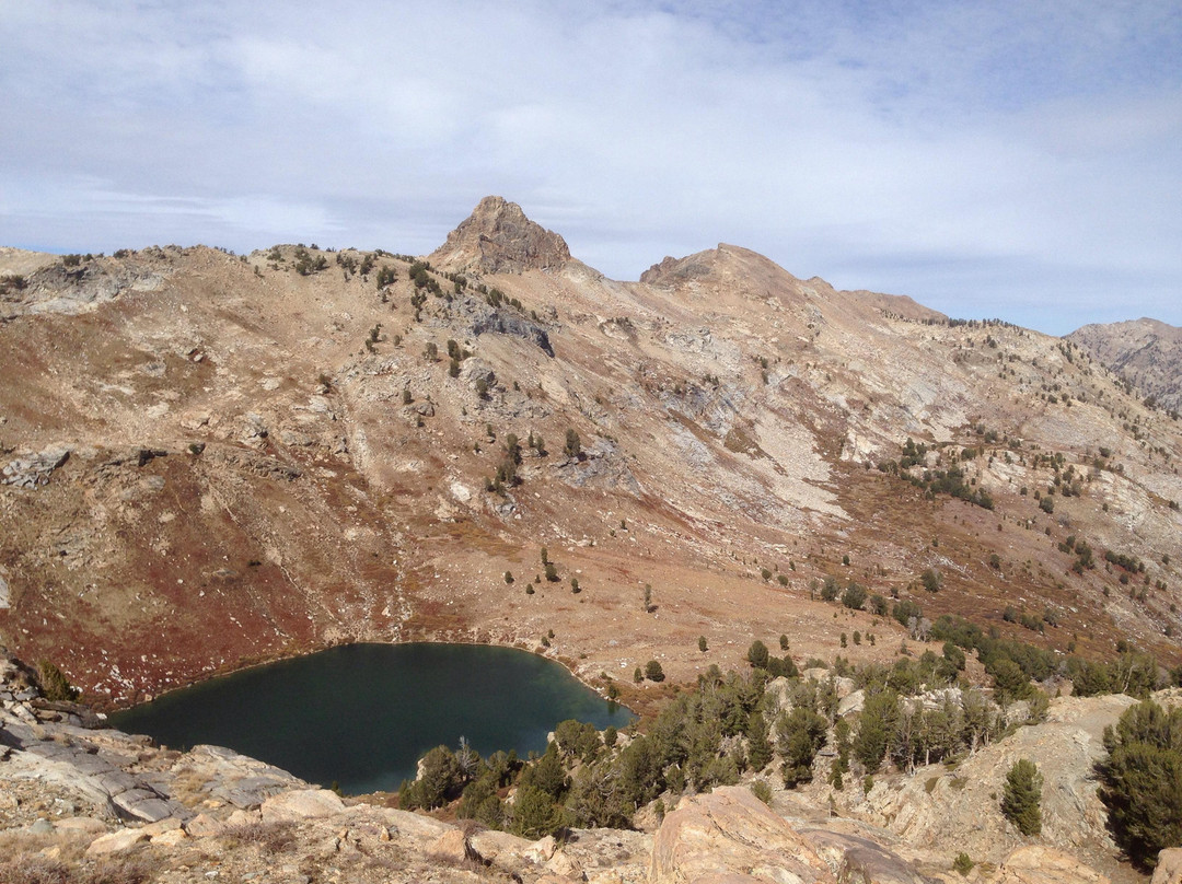 Humboldt National Forest-埃尔科必去景点