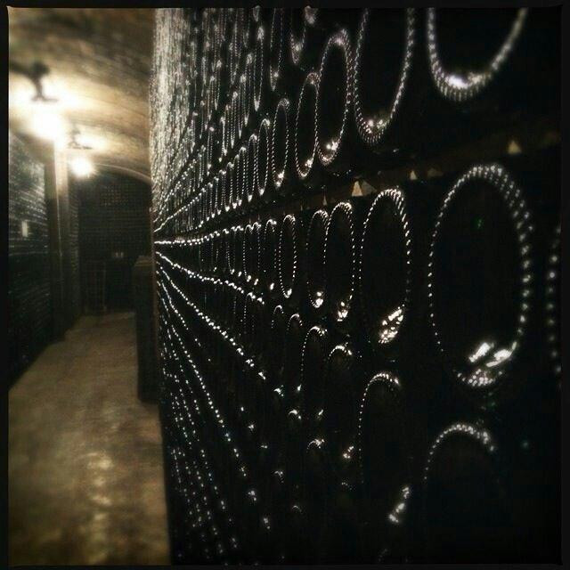 Clos Lentiscus, Can Ramon Winery景点图片